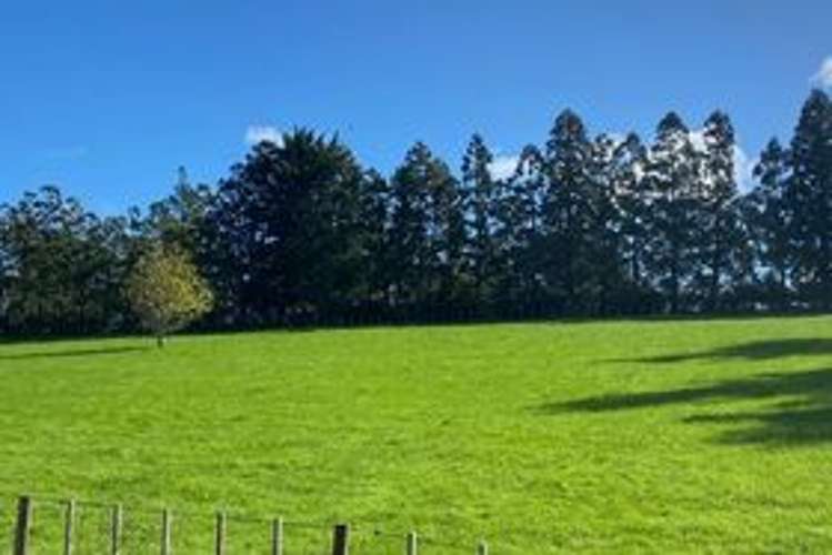 270 Ireland Road Waitoki_28