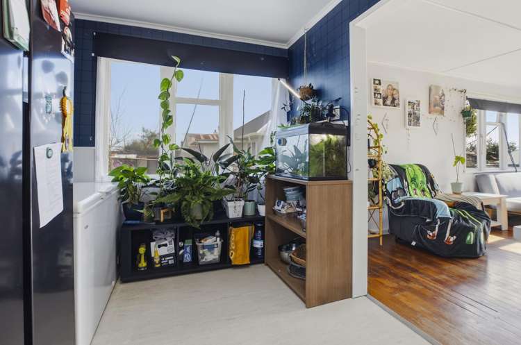 13 Porritt Street Paeroa_7