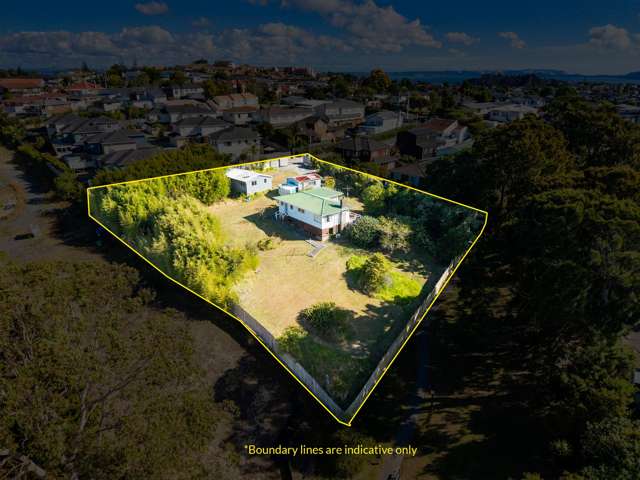 1550 Dominion Road Extension Mount Roskill_2