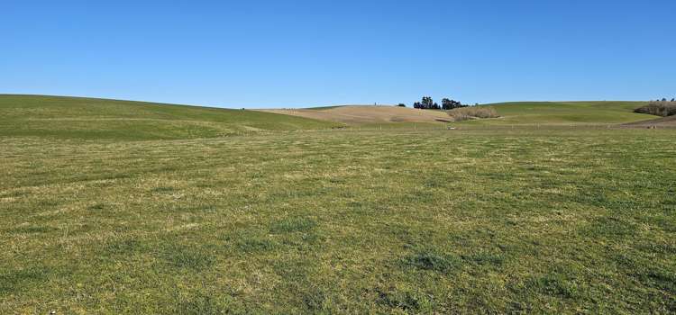 565 Bushy Park Road Waikaka_19