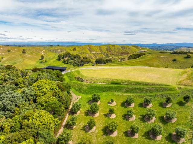 17 Te Roera Drive Taradale_4