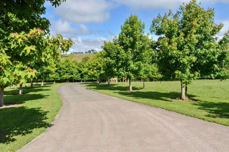 273 Forestry Road Waitoki_60