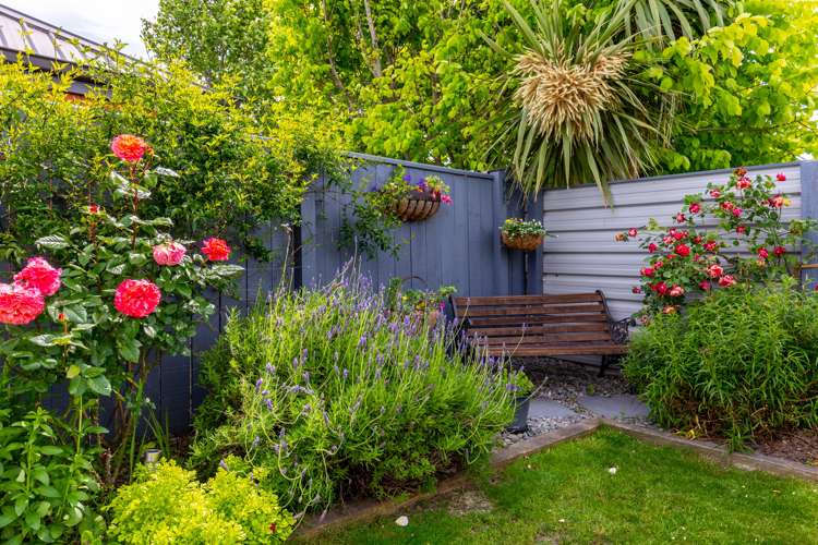 16 River Terrace Renwick_18