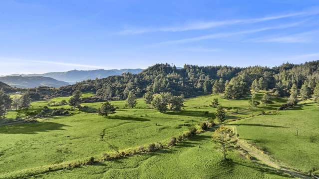 Takaka-Collingwood Highway Parapara_3