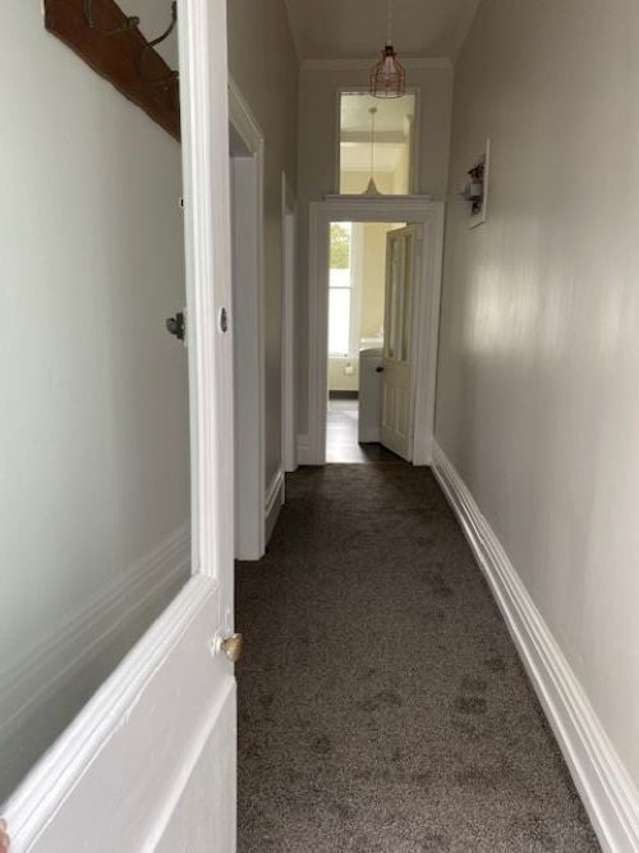 1BR Flat in Vibrant Mt. Cook