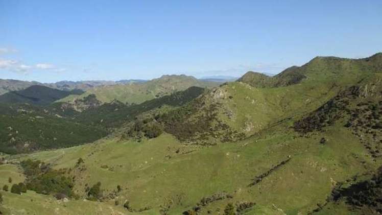 357 Summerhill Road Hinakura_14