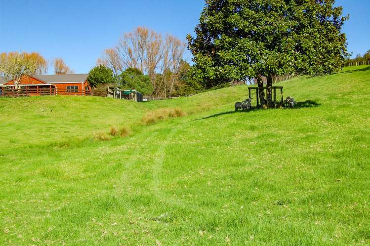 82 Settlement Road Kaiwaka_34