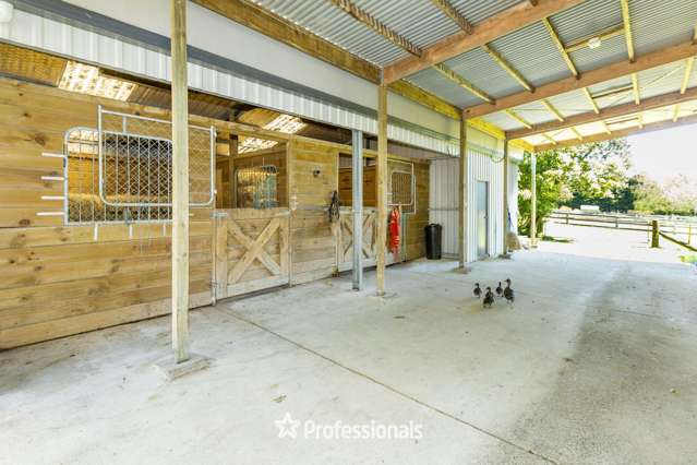 118 Colletts Road Mangaroa_1