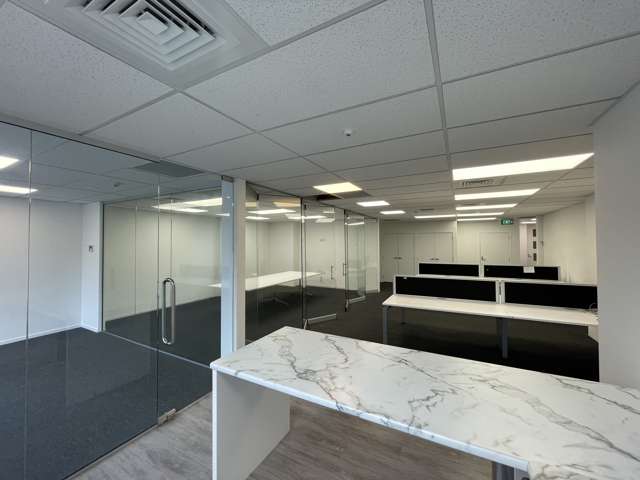 100 Ponsonby Road Grey Lynn_2