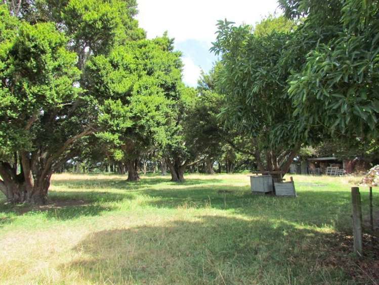 97 Tararua Drive Upper Plain_27