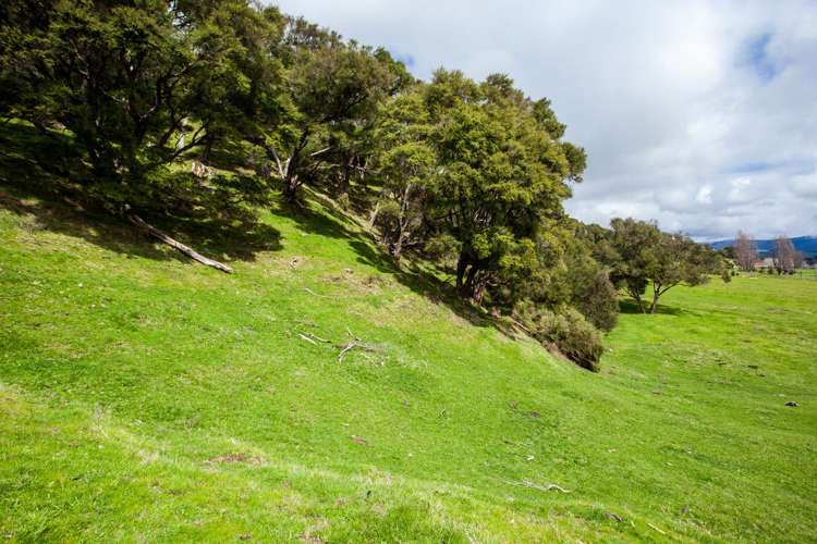 97 Waiomatatini Road Ruatoria and Surrounds_19