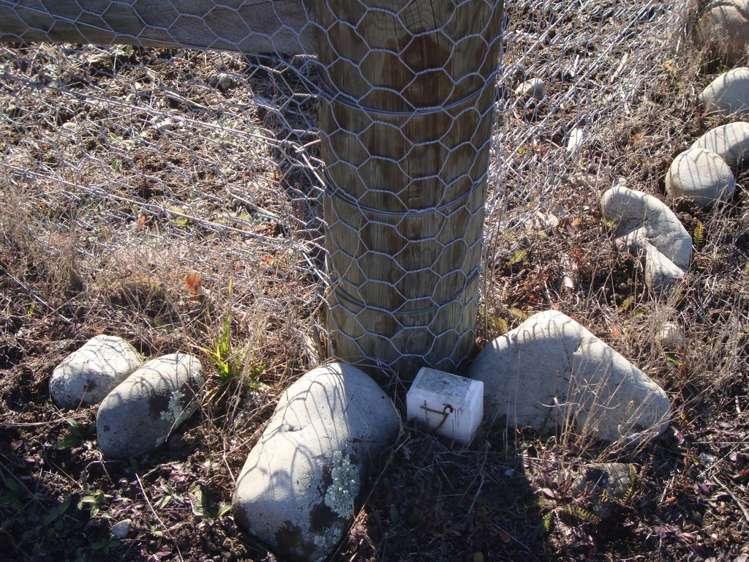 14 Hardacre Place Omarama_9