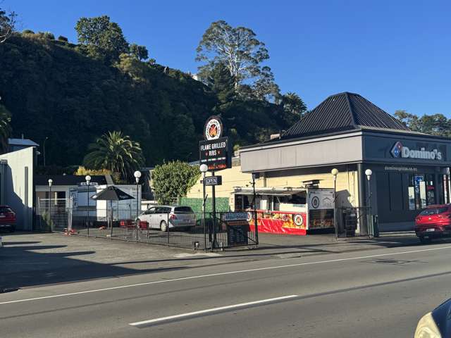 23 Carlyle Street South Napier South_4