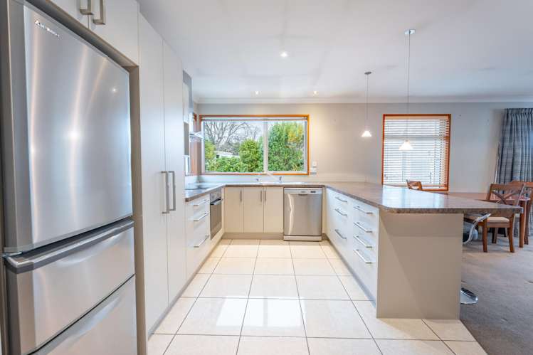 115a Domain Avenue_1