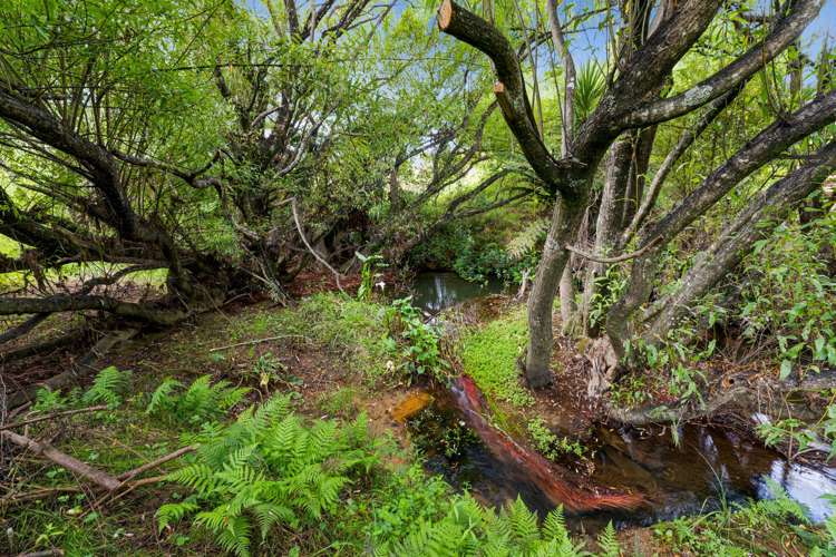 540 Burnside Road Makarau_17