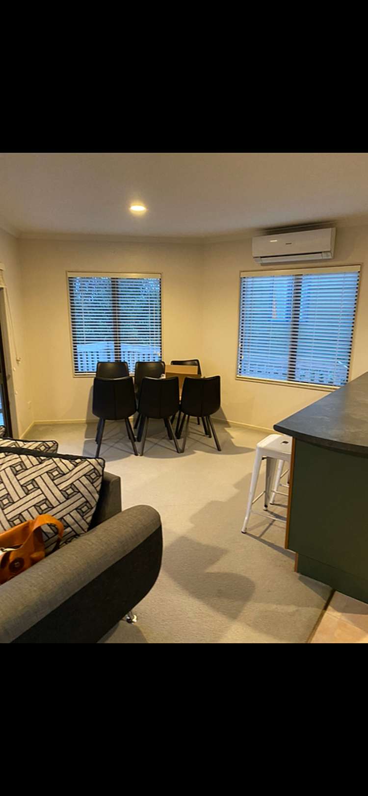 17a Thomson Avenue Dinsdale_3