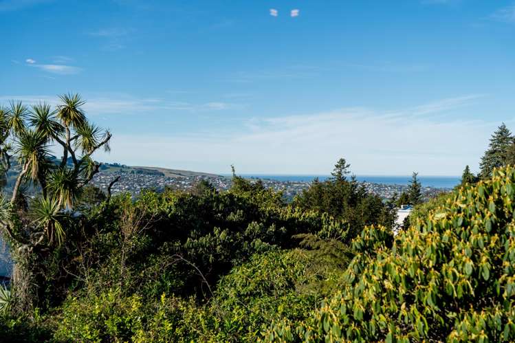 27 Erin Street Roslyn_41