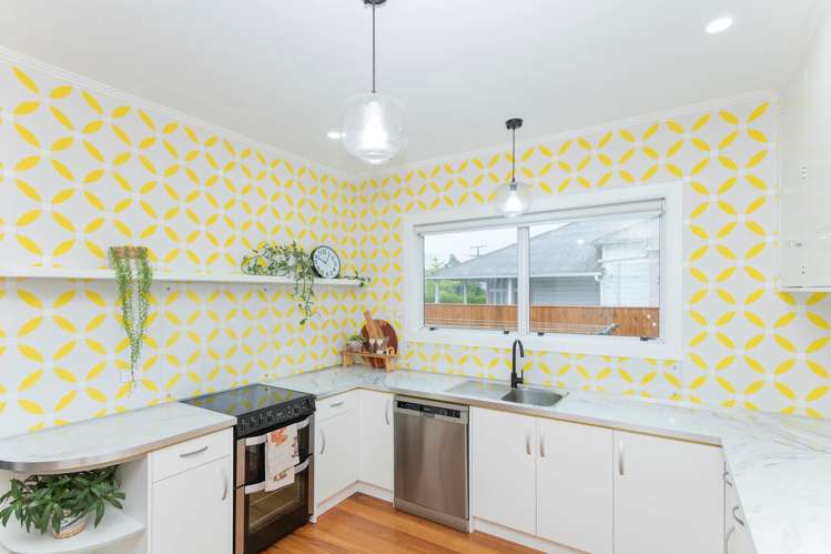 133 Harris Street Inner Kaiti_1
