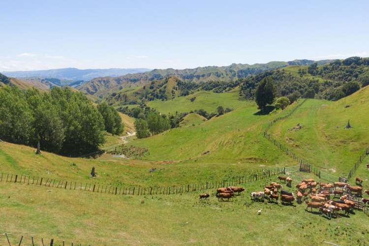 131 Rangitane Road Mangaweka_13