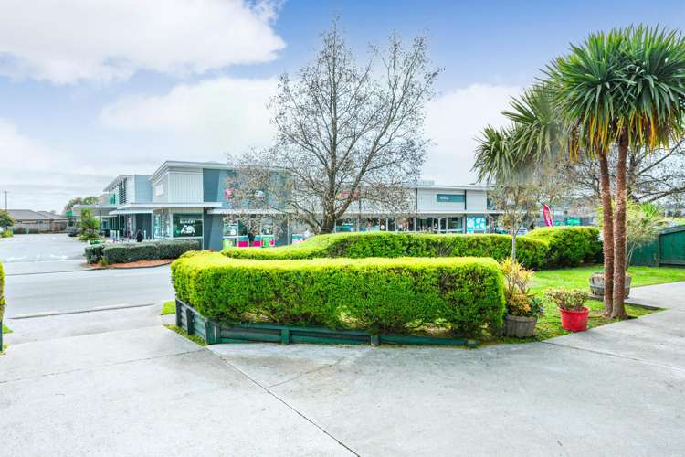 8 Fernlea Avenue Kelvin Grove_14