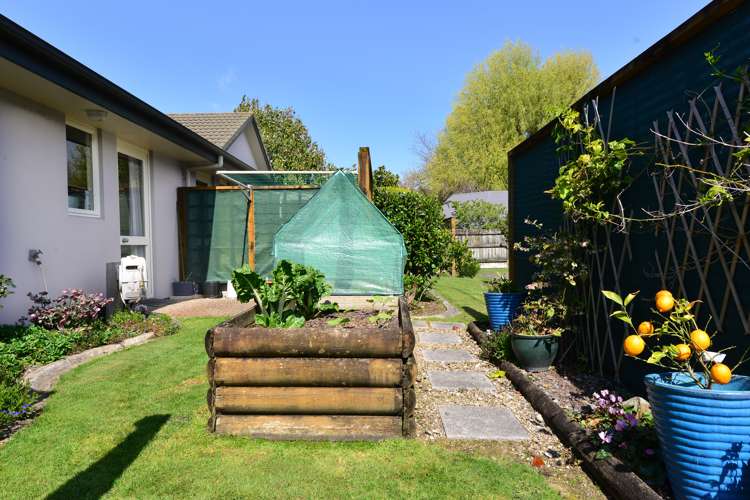 17/16 Rototuna Road Flagstaff_21