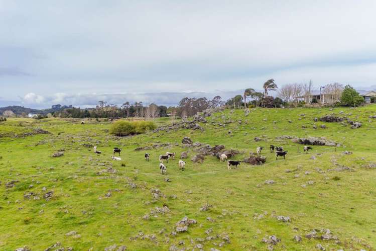 858 Kerikeri Inlet Road Kerikeri_16