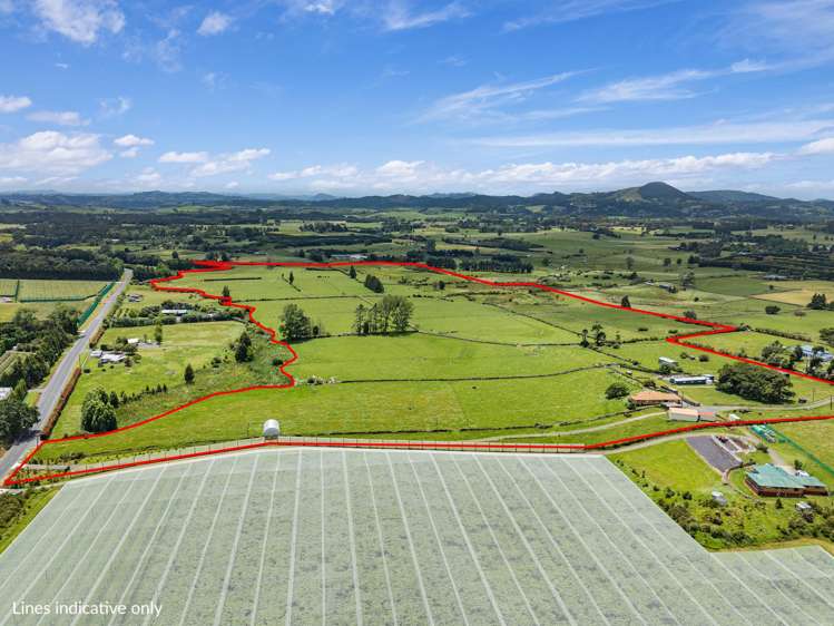 54 Tatton Road Maungatapere_1