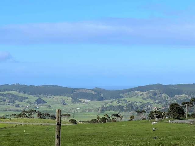 385 Kiwitahi Road Helensville_1