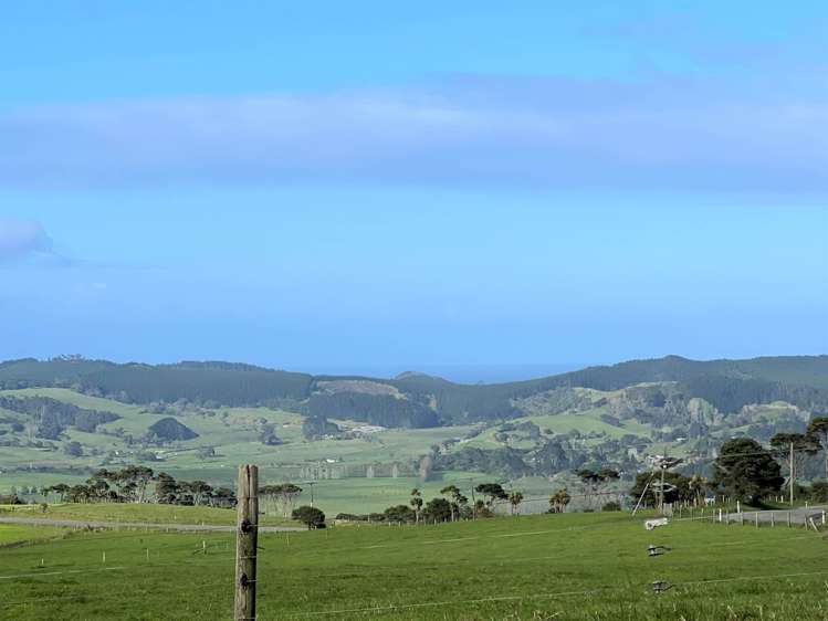 385 Kiwitahi Road Helensville_1