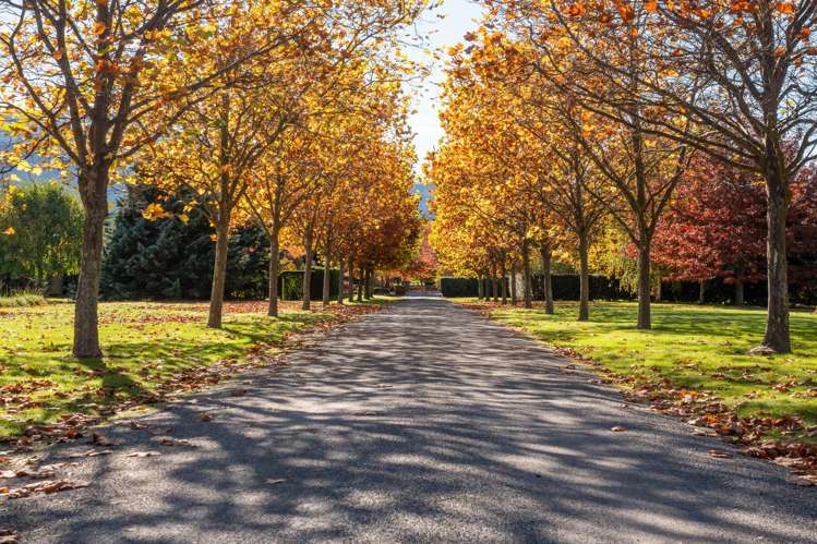 7/188 Domain Road Speargrass Flat_21