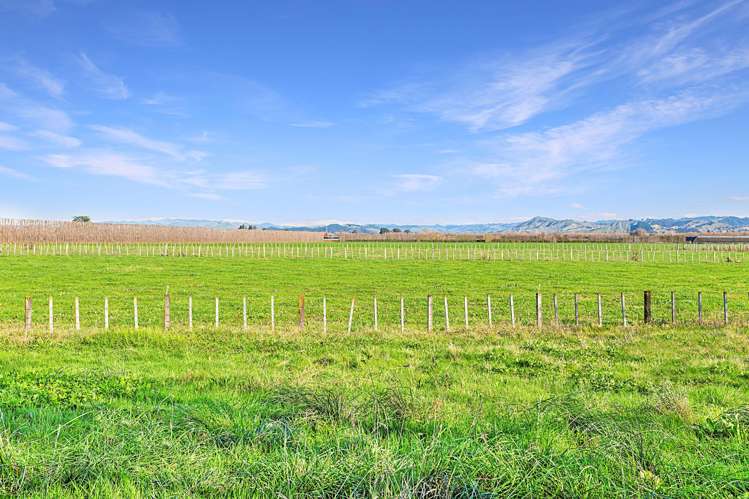 363 Matawai Road Waerenga A Hika_12