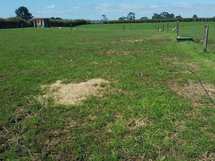 27 Celia Street Stratford_15