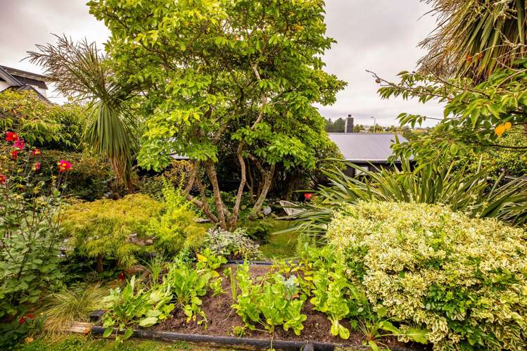 150 Douglas Street Highfield_43