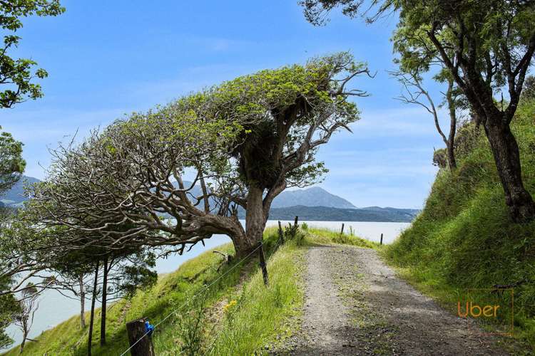 Brindle Road Whirinaki_13