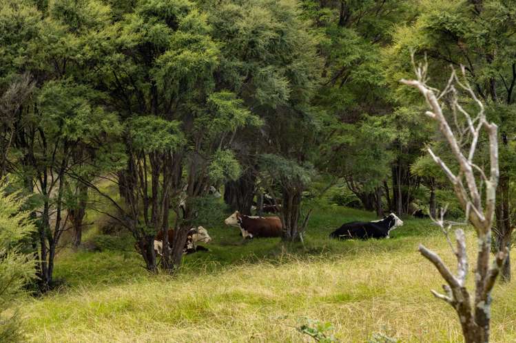 168 Moewai Road Whitianga_20