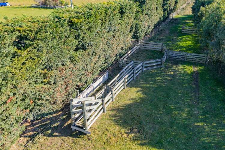186 Terrace Road Leithfield_29