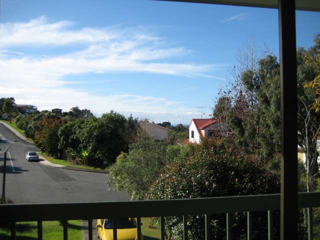 25 Wisteria Way Mairangi Bay_2