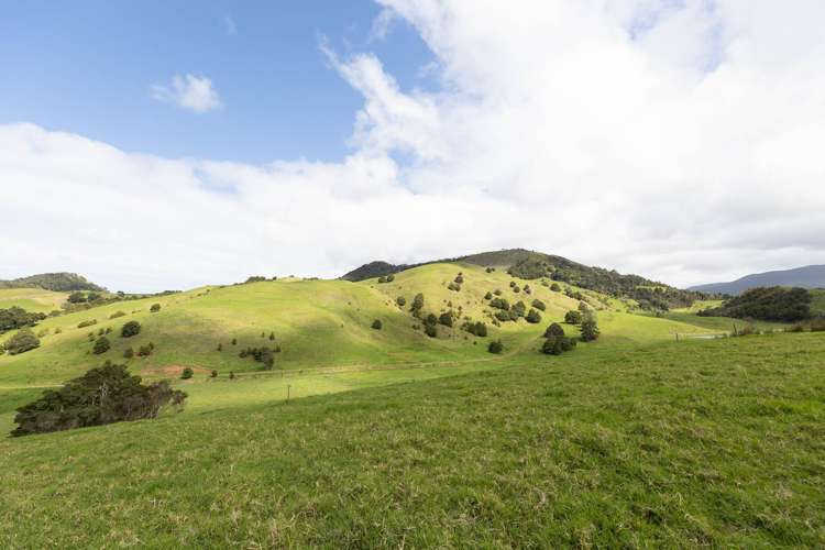 1557 Waihue Road Dargaville Surrounds_16