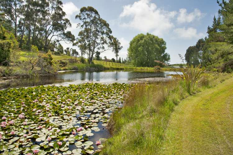 135 Awa Awa Road Tasman_22