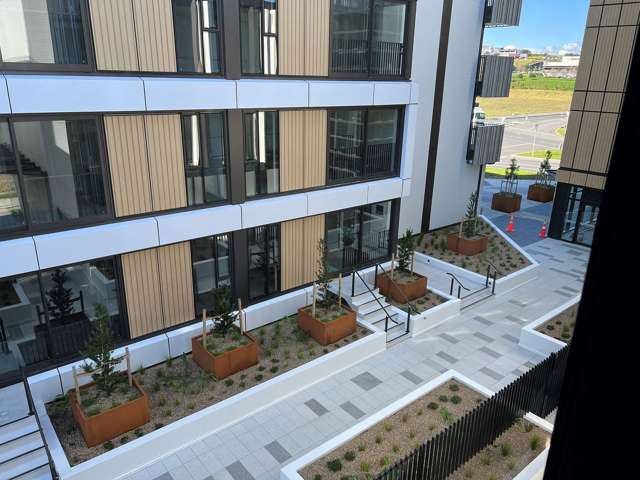 Risland Albany Apartments-David building