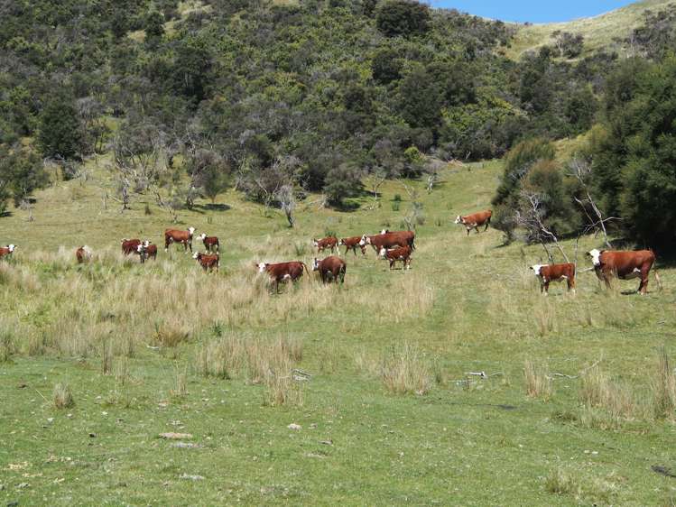 746 Te Awa Road Central Hawkes Bay Coastal_7