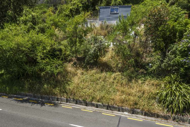 46 Atawhai Drive The Wood_5