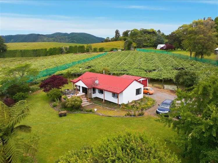 1399A No. 3 Road Te Puke_6