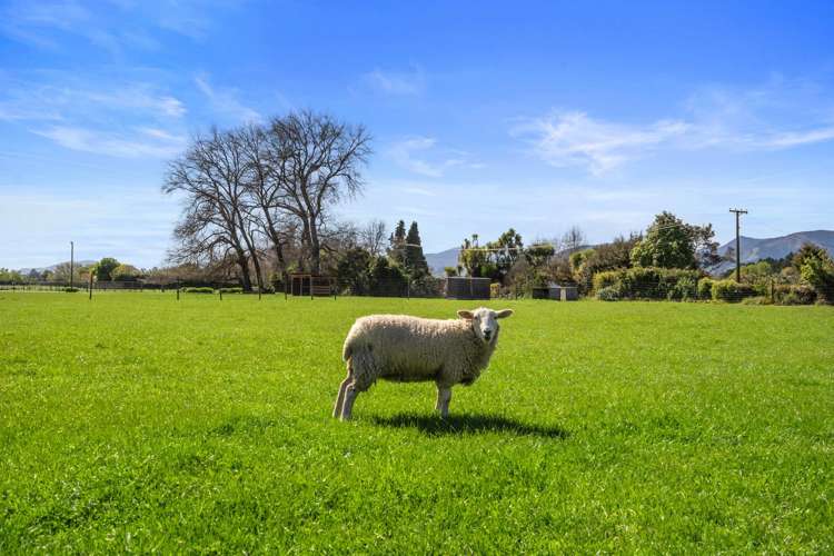 809 Lower Queen Street Richmond_27