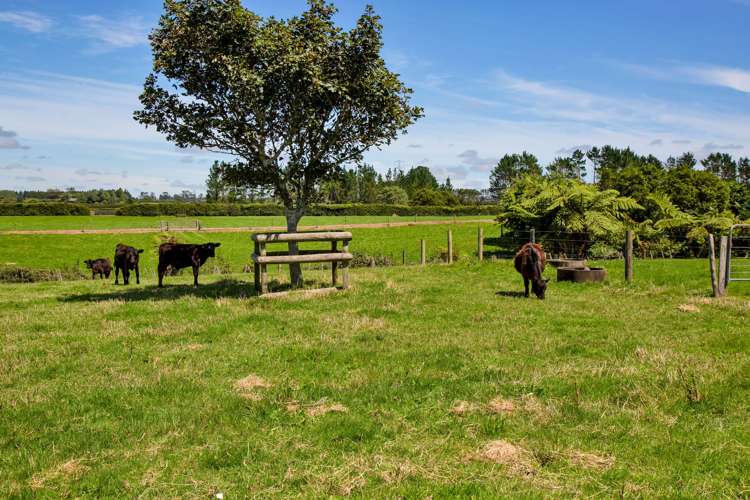 87 Monmouth Road Pembroke_18