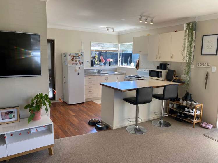 9c Gatland Road Rosehill_5