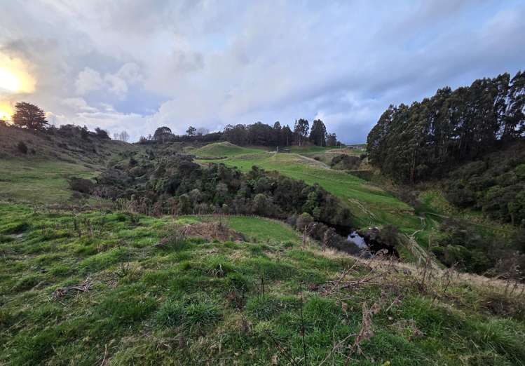 515 Zigzag Road Ashhurst_11