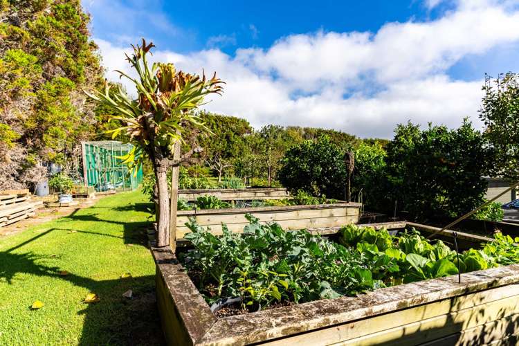 81 Avocado Lane Mangawhai_23