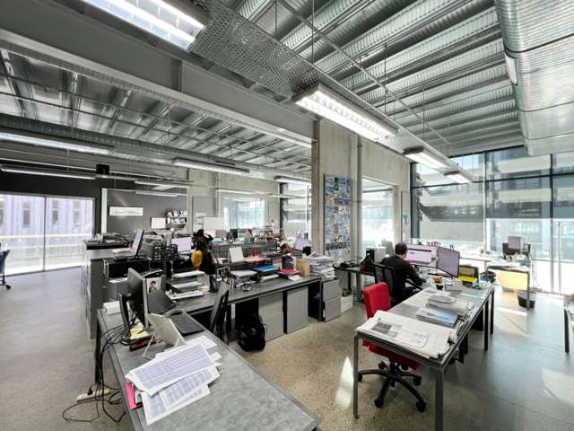 MT EDEN OFFICE WITH INDUSTRIAL CHARACTER