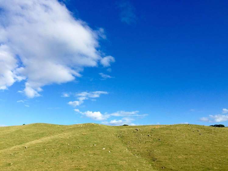 190 Pacific Ocean, Slipper Island (Whakahua) Thames_77
